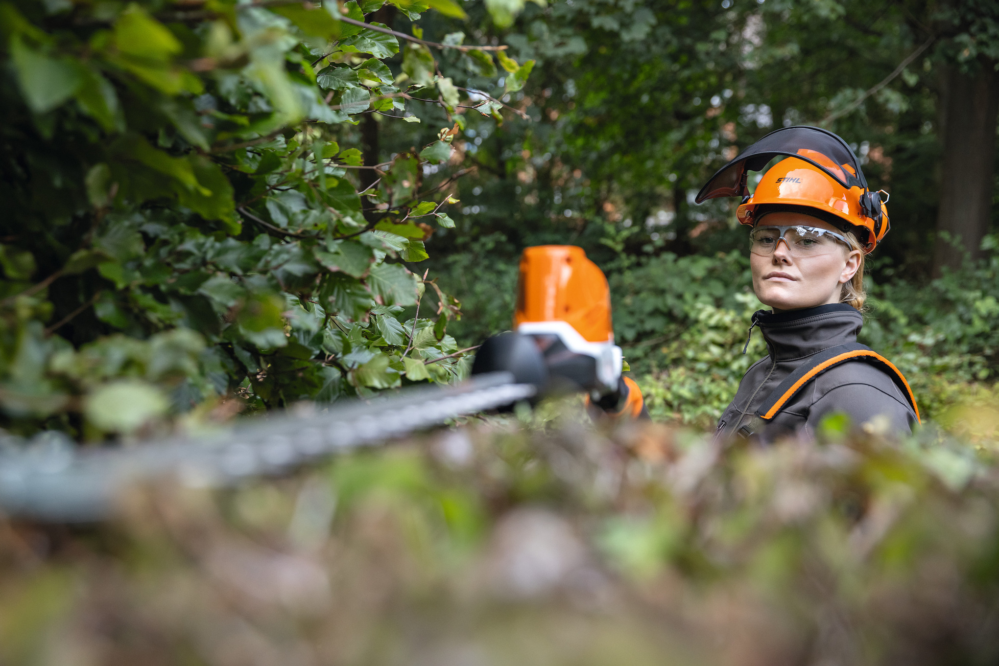 STIHL Akku-Stabheckenschere HLA 86