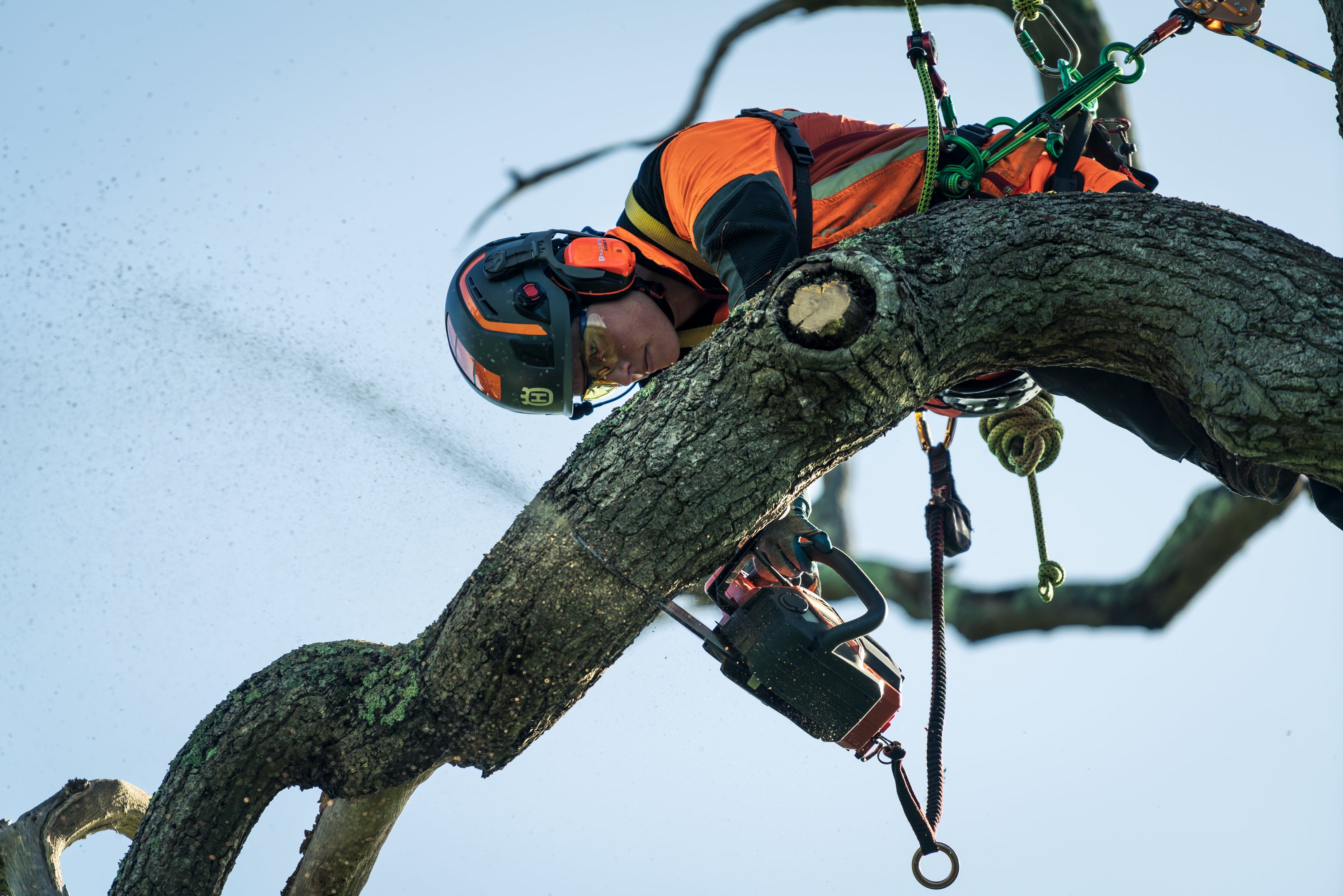 Akku-Motorsäge T540i XP G 14"