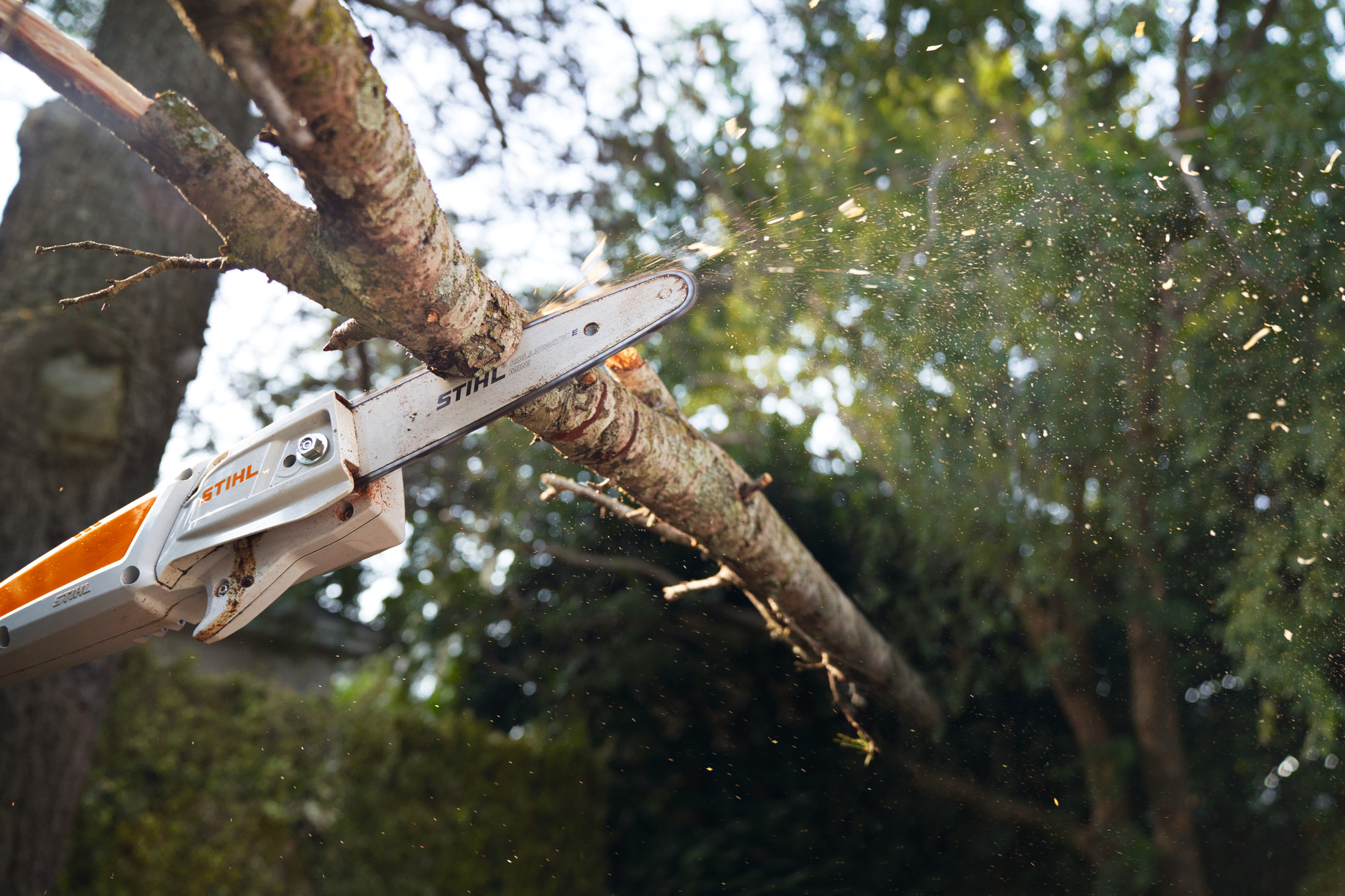 STIHL HTA 50 Akku-Hochentaster