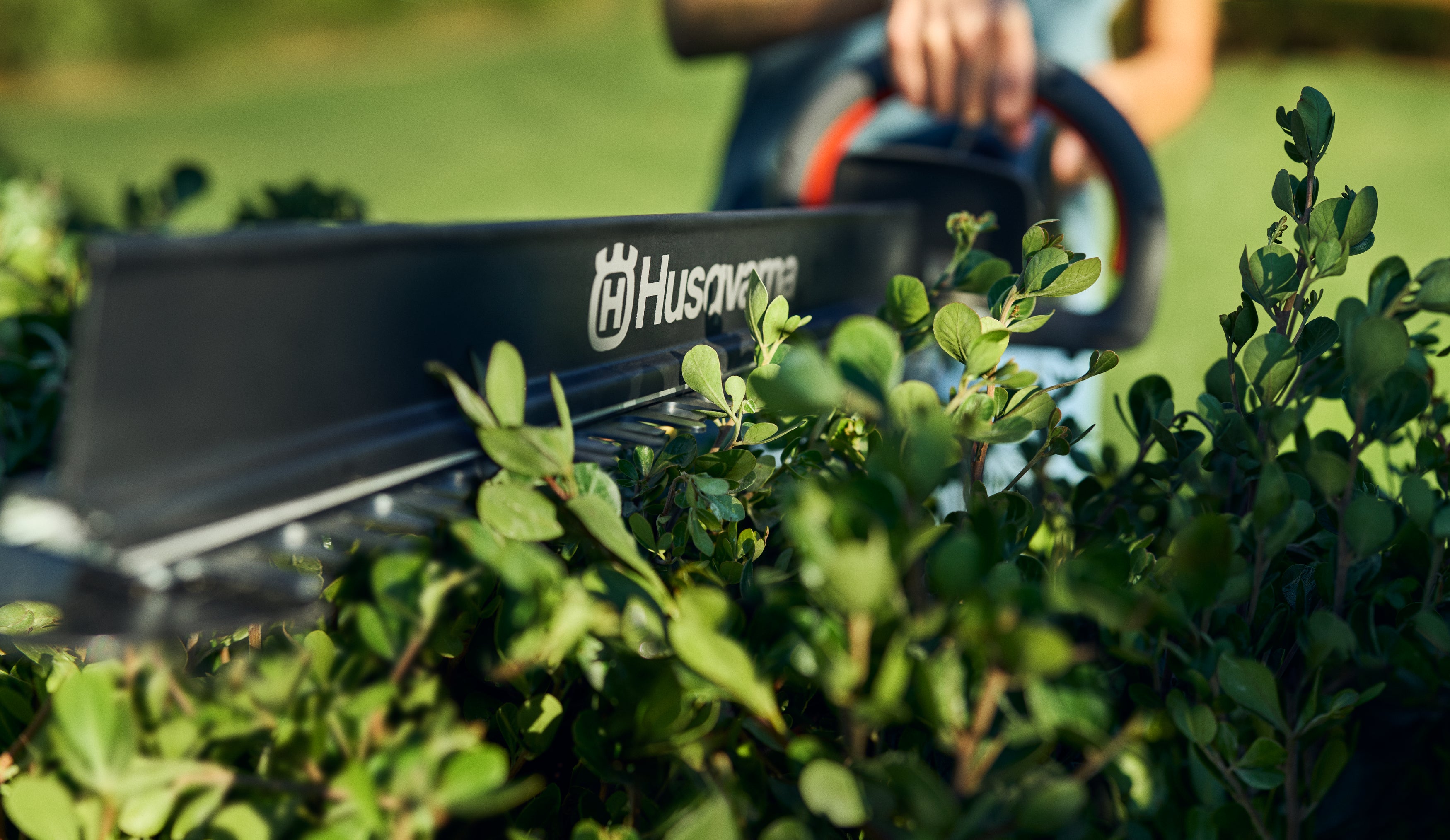 Aspire® Heckenschere H50