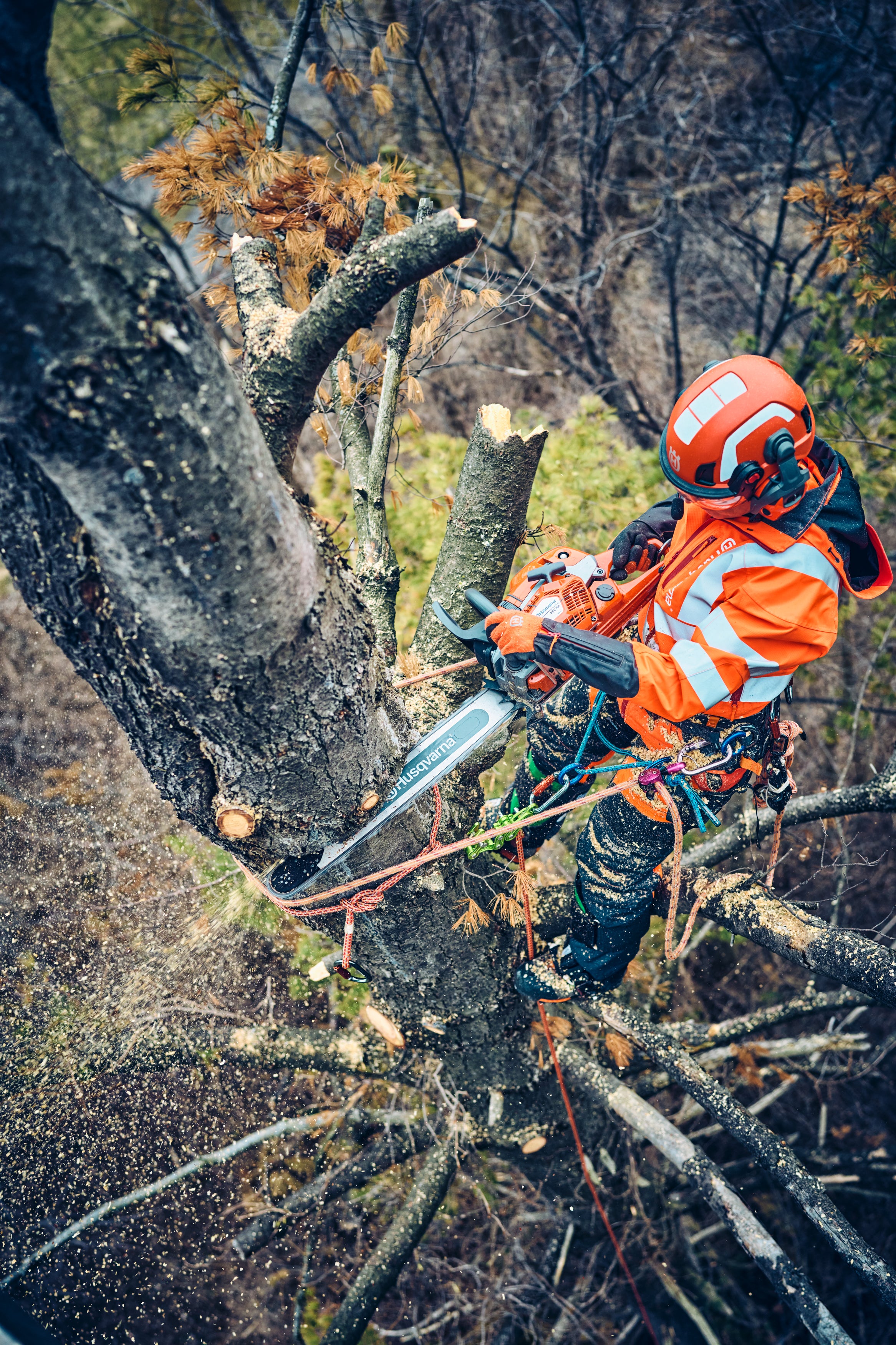 Motorsäge 562 XP® Mark II 18"