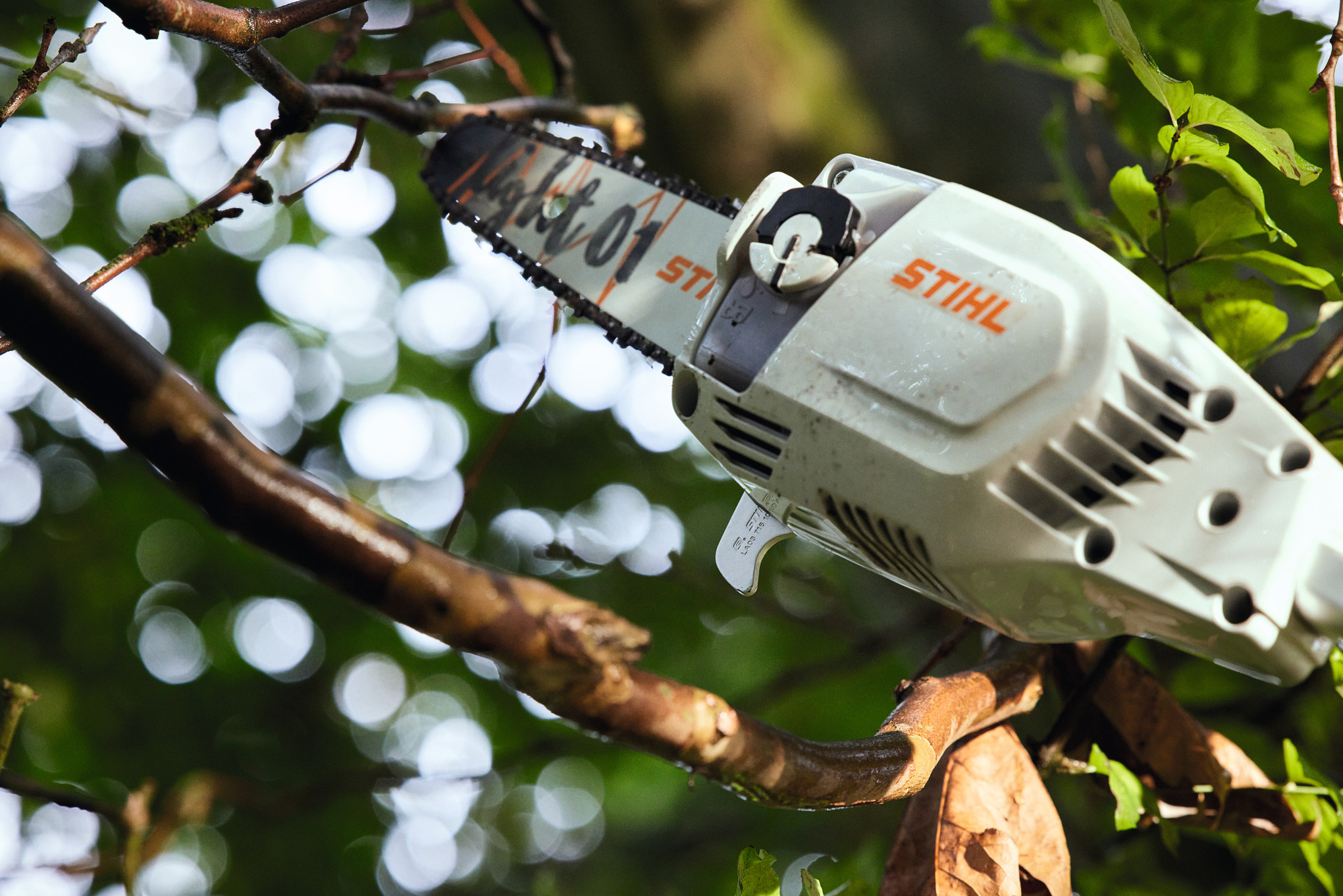 STIHL HTA 86 Akku-Hochentaster