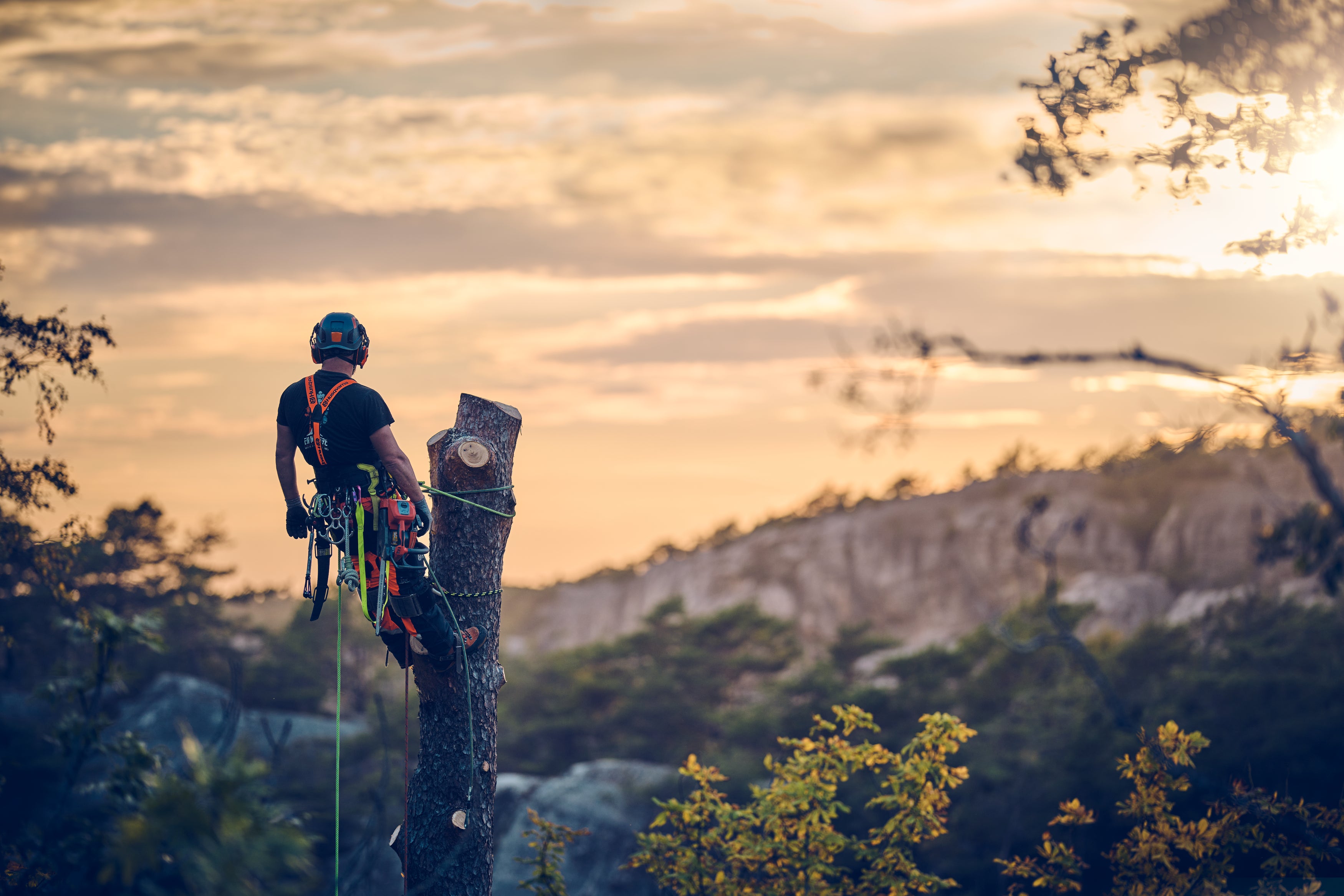 Motorsäge T540 XP® Mark III 14"