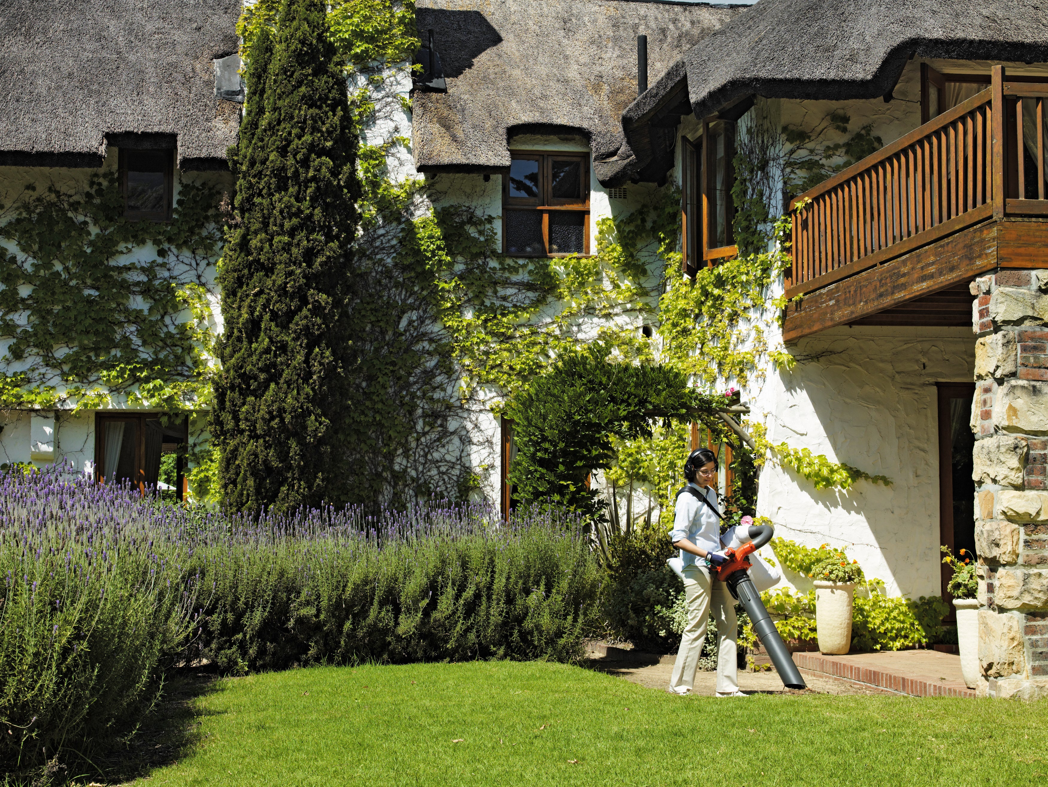 Laubbläser und -sauger  125BVx