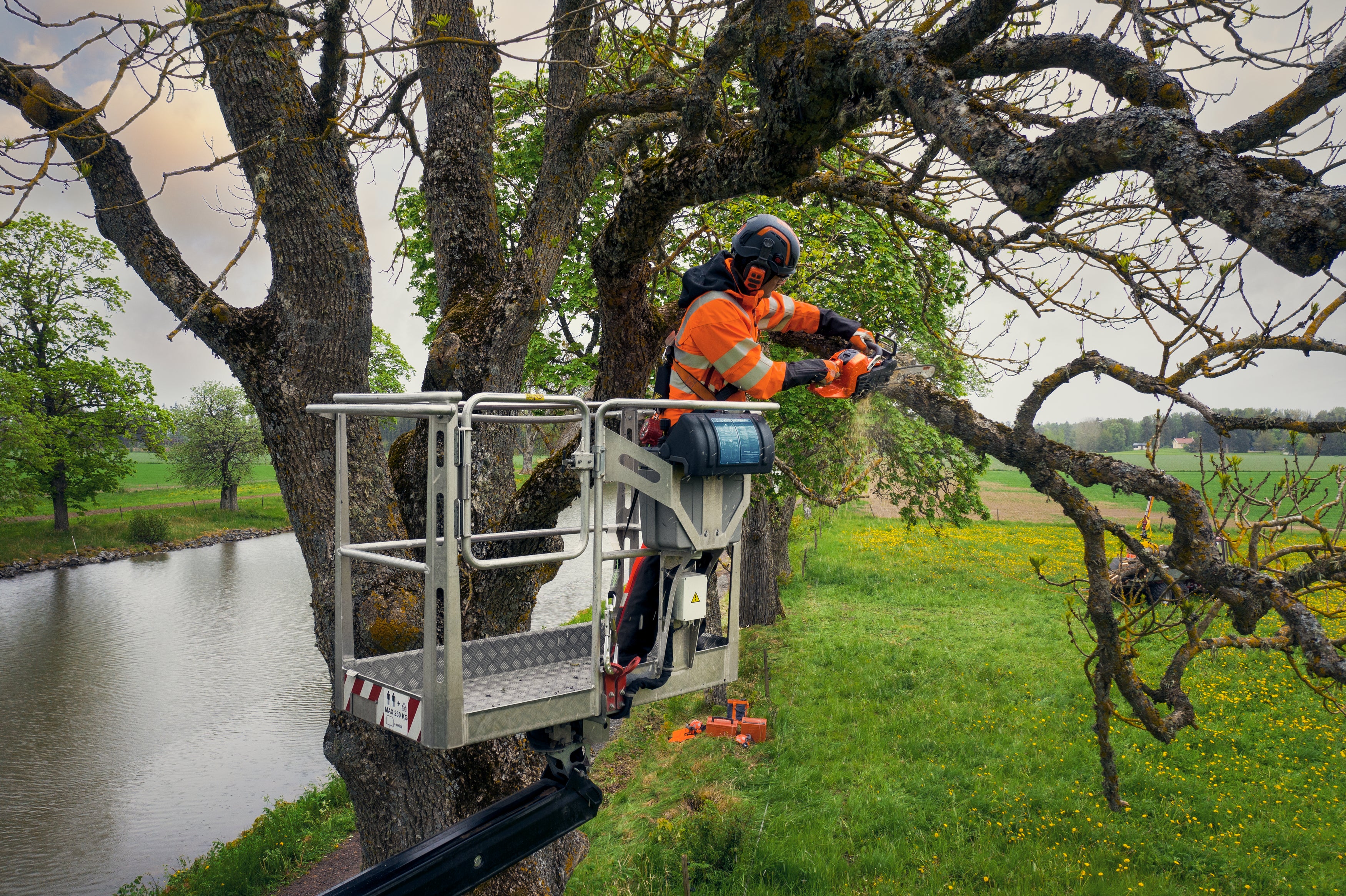 Motorsäge 540 XP® Mark III 14"